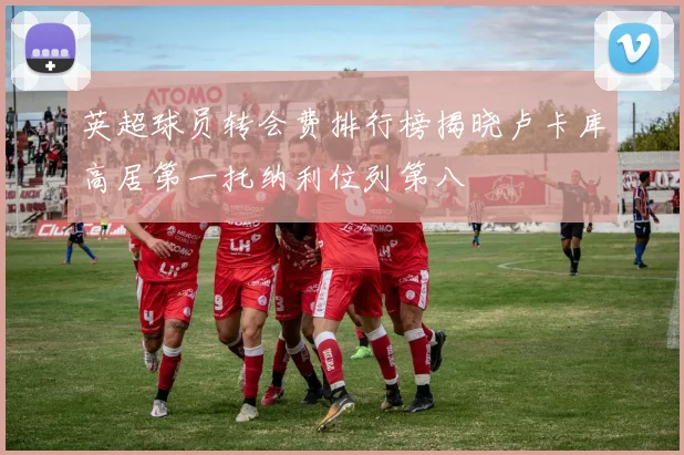 英超球员转会费排行榜揭晓卢卡库高居第一托纳利位列第八